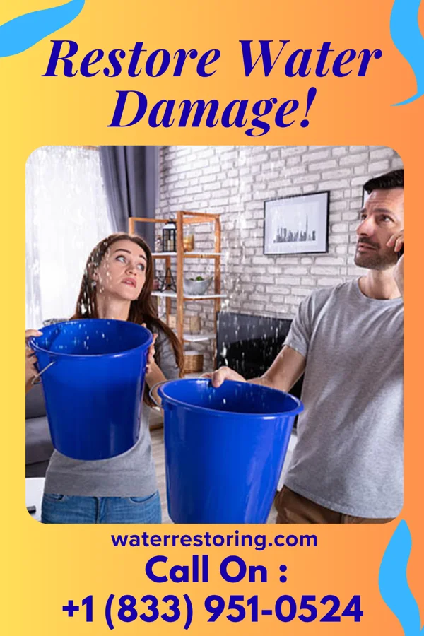 water restoration Pro Mitigation Inc Seville