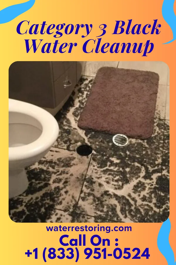 Category 3 Black Water Cleanup in Seville, OH
