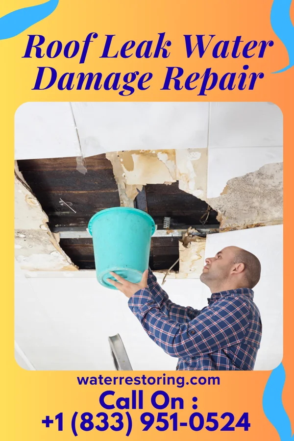 Roof Leak Water Damage Repair in Seville, OH