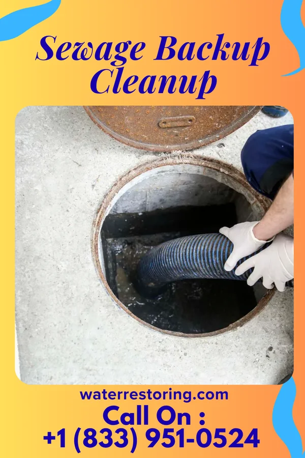 Sewage Backup Cleanup in Seville, OH