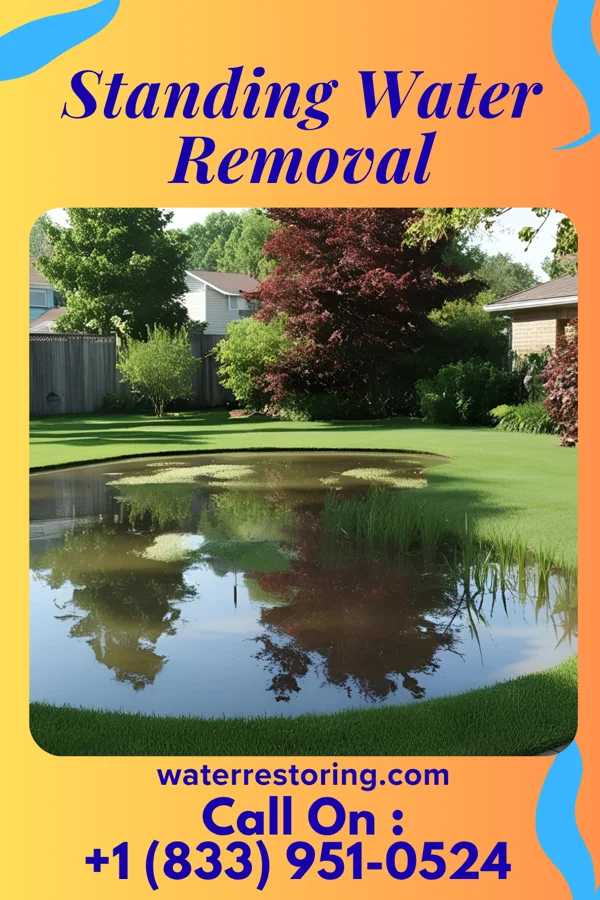 Standing Water Removal in Seville, OH
